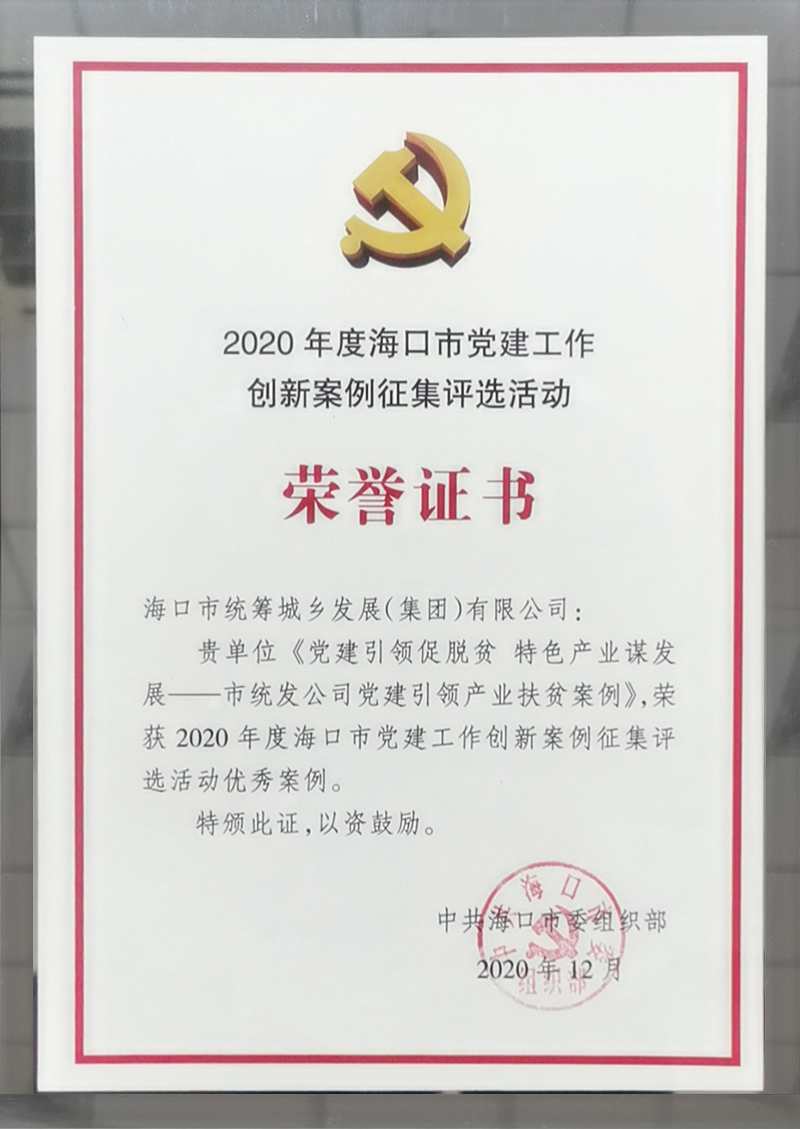 2020年度?？谑悬h建工作創(chuàng)新案例征集活動(dòng)優(yōu)秀案例